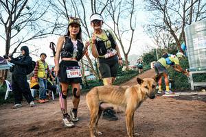 BIB: 
                            <button type="button" onclick="openModal(25457967)" class="btn btn-primary btn-sm float-right btn-popup" data-toggle="modal" data-target=".modal-high-quality">
                        <i class="fas fa-shopping-cart"></i> Add to Cart
                    </button>
                                            <button type="button" onclick="isThisMe(25457967, true)" class="btn btn-success btn-sm float-right btn-popup btn-isme hidden" data-toggle="tooltip" data-placement="bottom" title="นี่คือรูปของคุณใช่ไหม คลิกที่นี่เพื่อเอาเข้าอัลบั้ม">
                        <i class="fas fa-plus"></i> Add to album
                    </button>
                    <button type="button" onclick="isThisMe(25457967, false)" class="btn btn-warning btn-sm float-right btn-popup btn-isnotme hidden">
                        <i class="fas fa-ban"></i> Remove from album
                    </button>